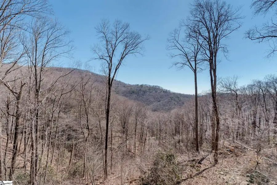 1338 Panther Park Trail, Travelers Rest, SC 29690 - #2