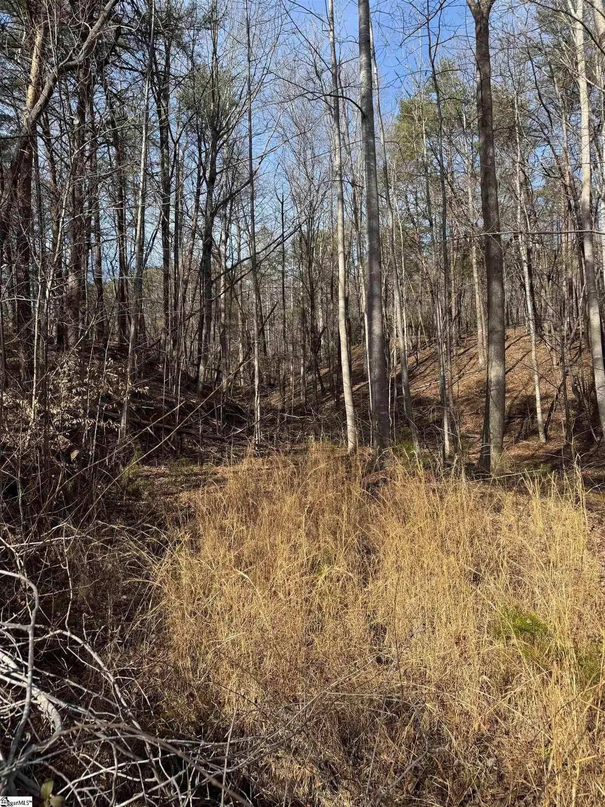 Butter Street, Landrum, SC 29356 - #1