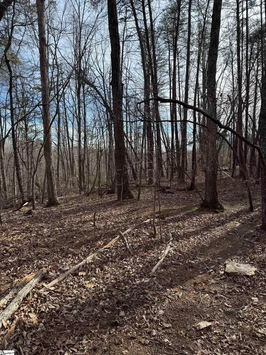 Butter Street, Landrum, SC 29356 - #3