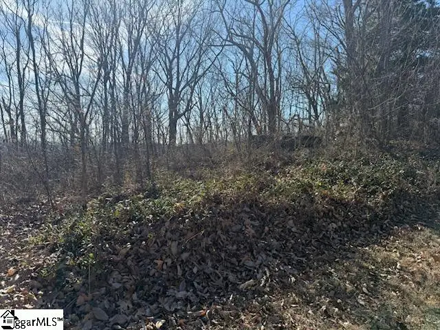 206 Eagle Rock Road, Landrum, SC 29356 - #1