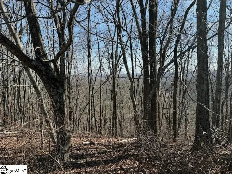 206 Eagle Rock Road, Landrum, SC 29356 - #2