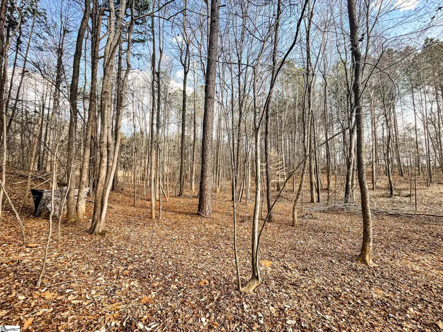 00 Lakeside Drive, Union, SC 29379 - #3