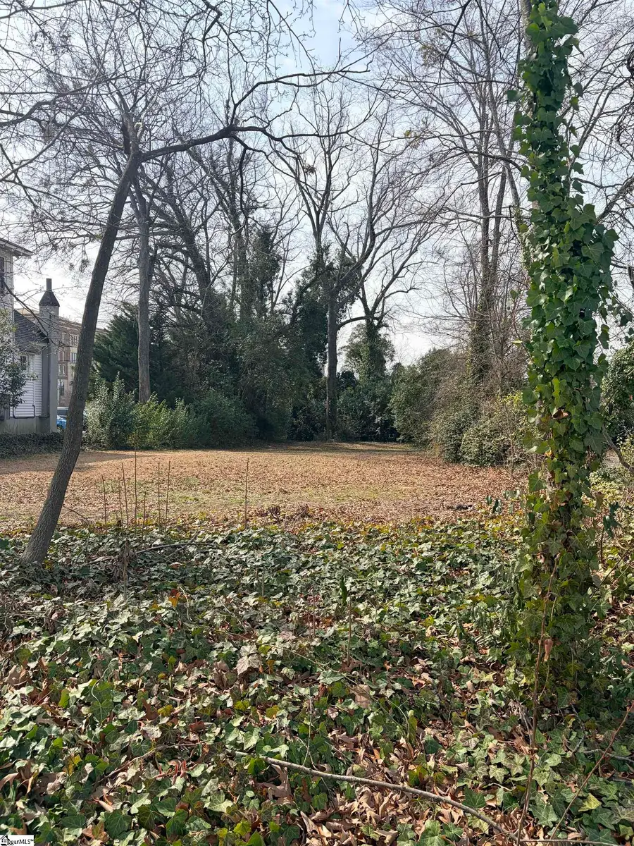 142 Oakland Avenue, Spartanburg, SC 29302 - #3