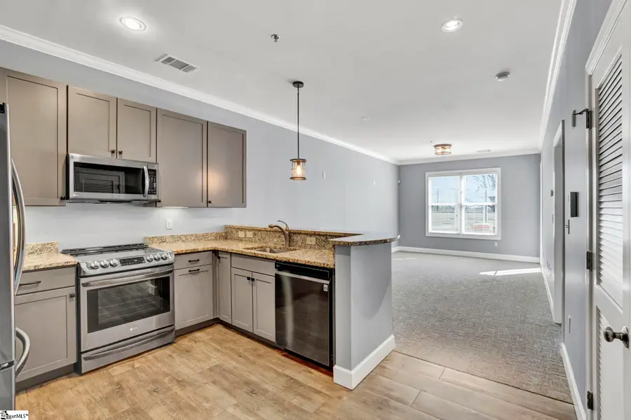 155 E Broad Street #206, Spartanburg, SC 29306 - #3