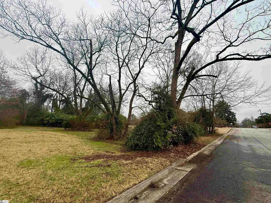 Hickory Street, Clinton, SC 29325 - #3