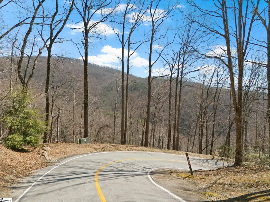 39 Panther Park Trail, Travelers Rest, SC 29690 - #3