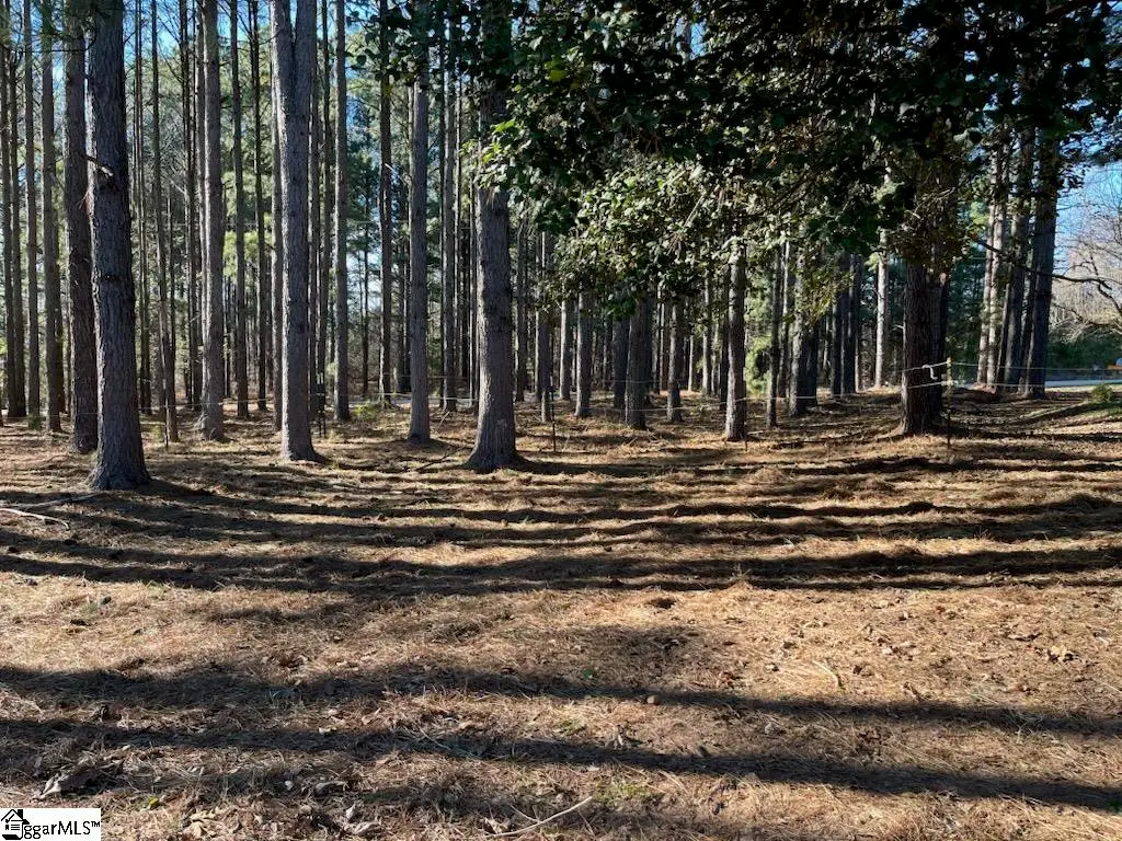 Address Withheld By Seller, Campobello, SC 29322-8023 - #1