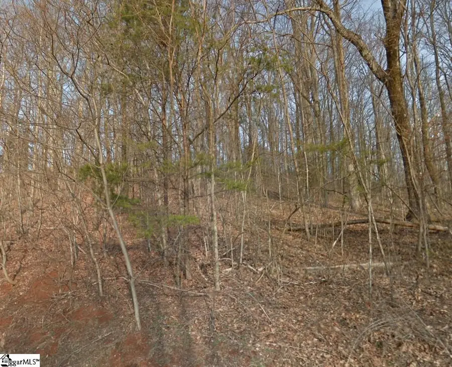 0 Stacked Rock Road, Landrum, SC 29356 - #2
