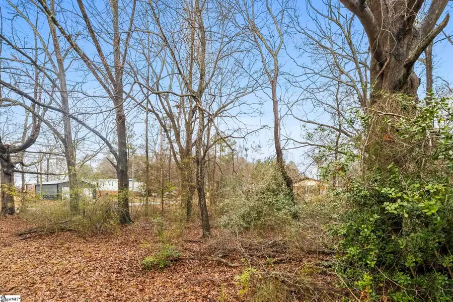 113 Mcneese Drive #Lot 2, Greenville, SC 29605 - #3