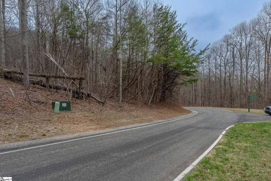 00 Indian Pipe Trail, Landrum, SC 29356-3329 - #2
