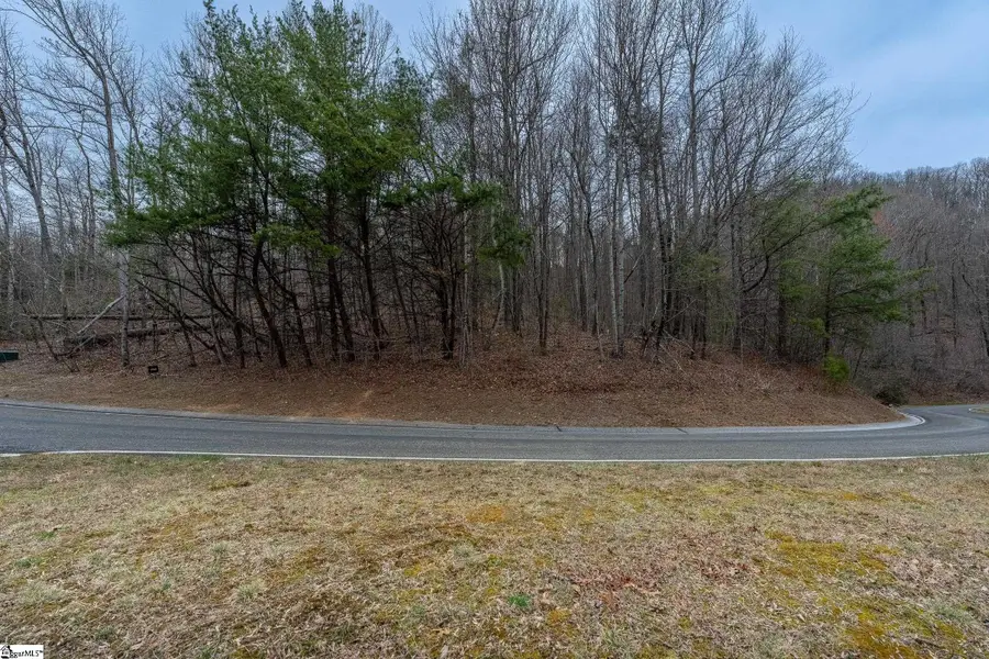 00 Indian Pipe Trail, Landrum, SC 29356-3329 - #3