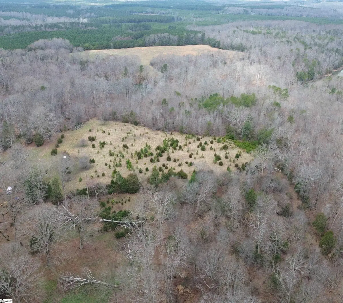 0 Pooletown Road, Laurens, SC 29360 - #1