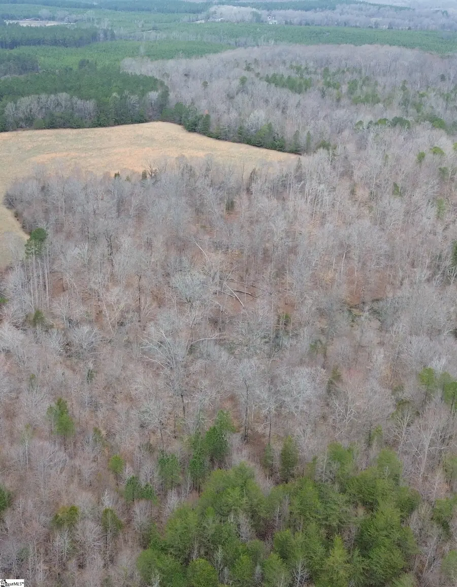 0 Pooletown Road, Laurens, SC 29360 - #3