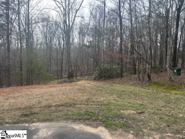 56 Angleblade Road, Landrum, SC 29356-3329 - #1