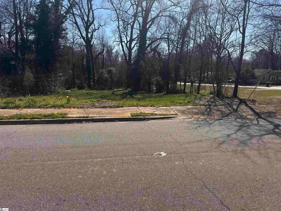 406 Cleveland Avenue, Anderson, SC 29624 - #3