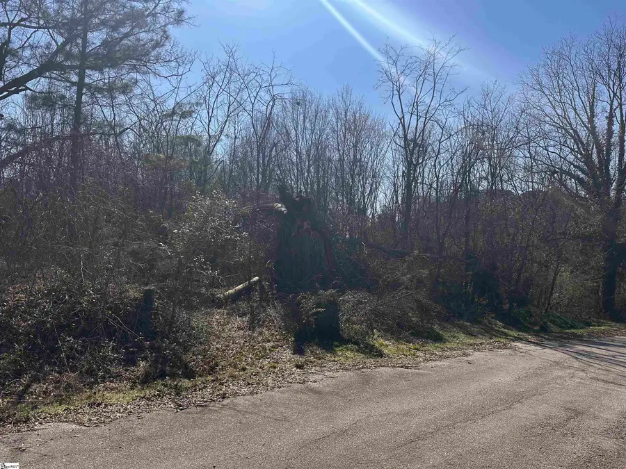 Lot 13 Wenzick Street, Anderson, SC 29625 - #2