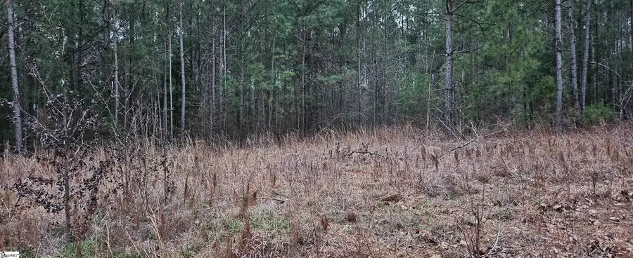 00 Hilltop Drive, Cross Hill, SC 29332 - #2