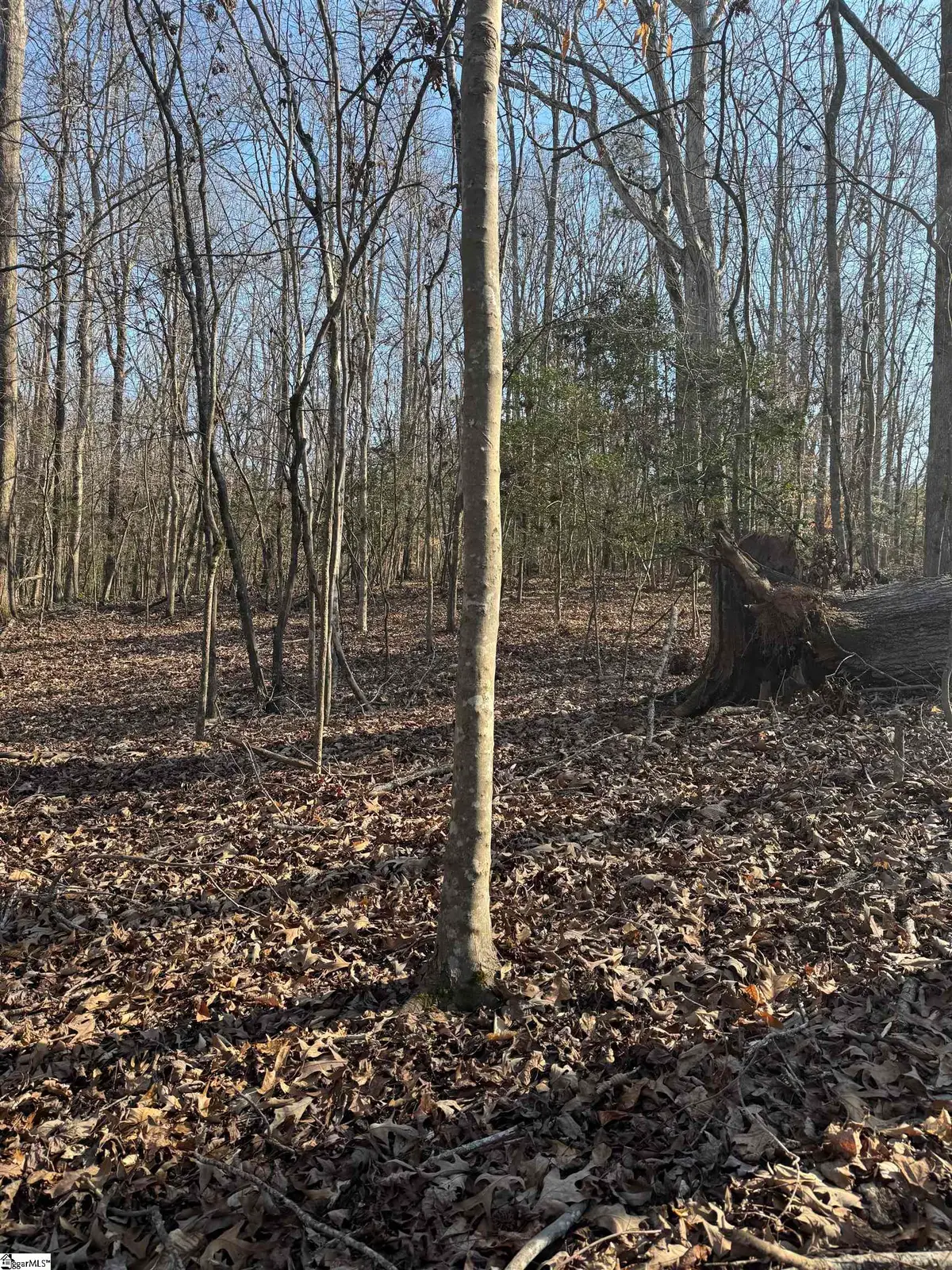 00 Secession Road, Anderson, SC 29621 - #1