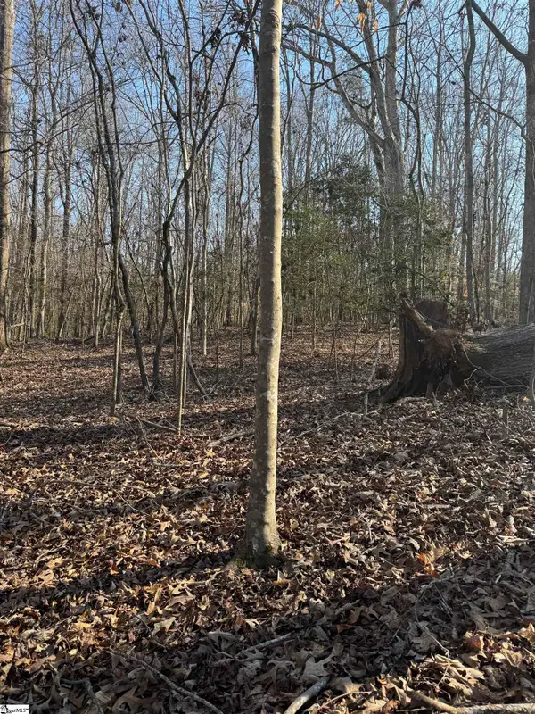 00 Secession Road, Anderson, SC 29621