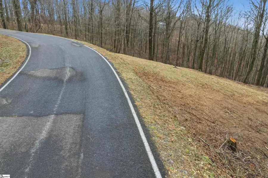 7 Day Lily Road, Landrum, SC 29356 - #2