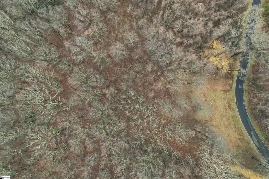 7 Day Lily Road, Landrum, SC 29356 - #3