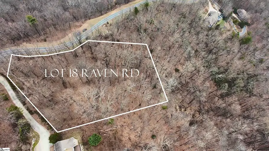 Lot 18 Raven Road, Landrum, SC 29356 - #3