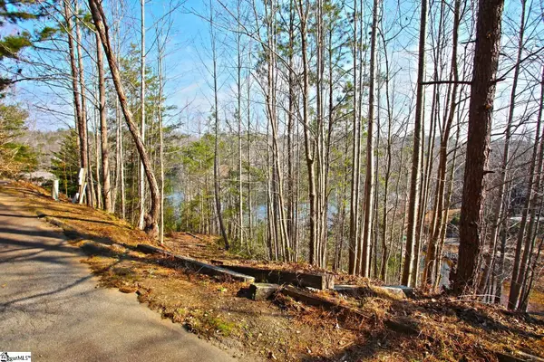 106 Saint Christopher Court, Sunset, SC 29685