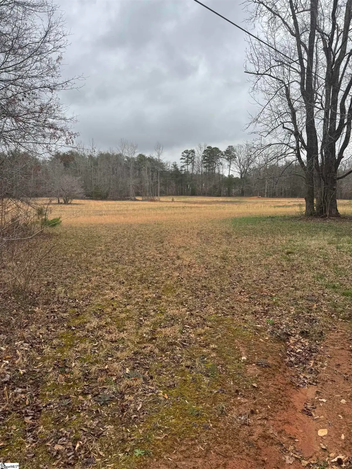 4320 N Blue Ridge Drive, Taylors, SC 29687 - #1