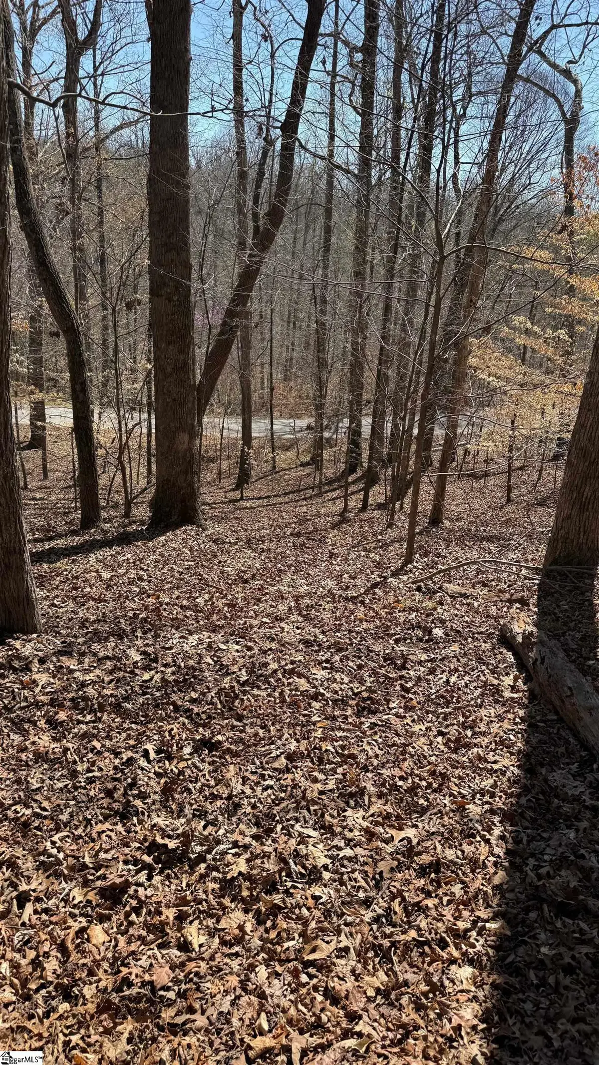 Address Withheld By Seller, Fair Play, SC 29643 - #1