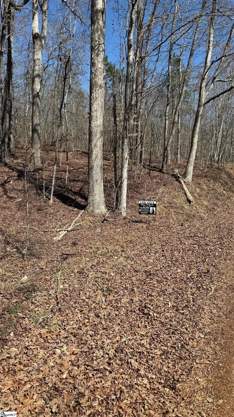 Address Withheld By Seller, Fair Play, SC 29643 - #3