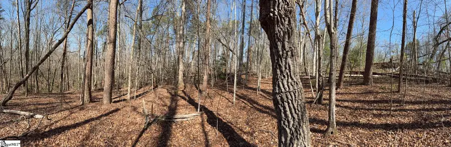 00 Sweetbriar Way, Easley, SC 29640 - #3