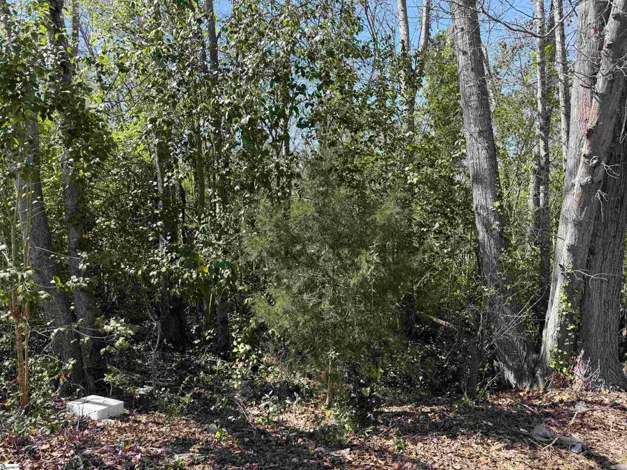 9 Allen Street, Enoree, SC 29355 - #3