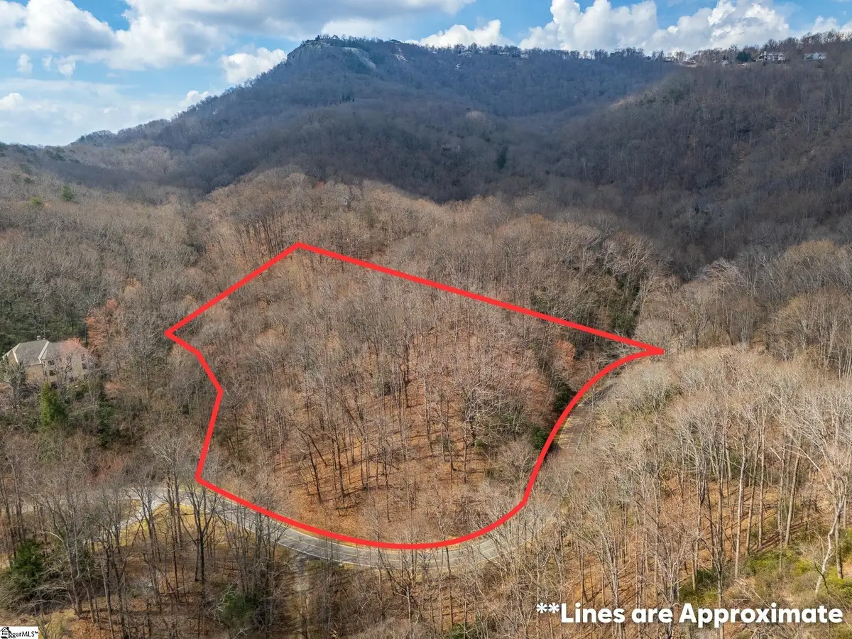 301 Limestone Trail, Landrum, SC 29356 - #1