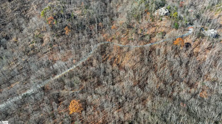 00 Panther Park Trail, Travelers Rest, SC 29690 - #3