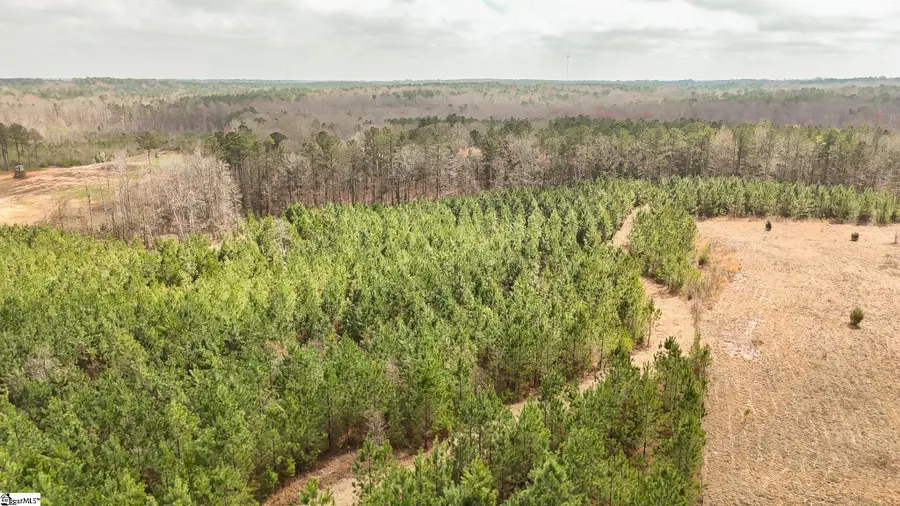 00 Lake Road, Clinton, SC 29325 - #3