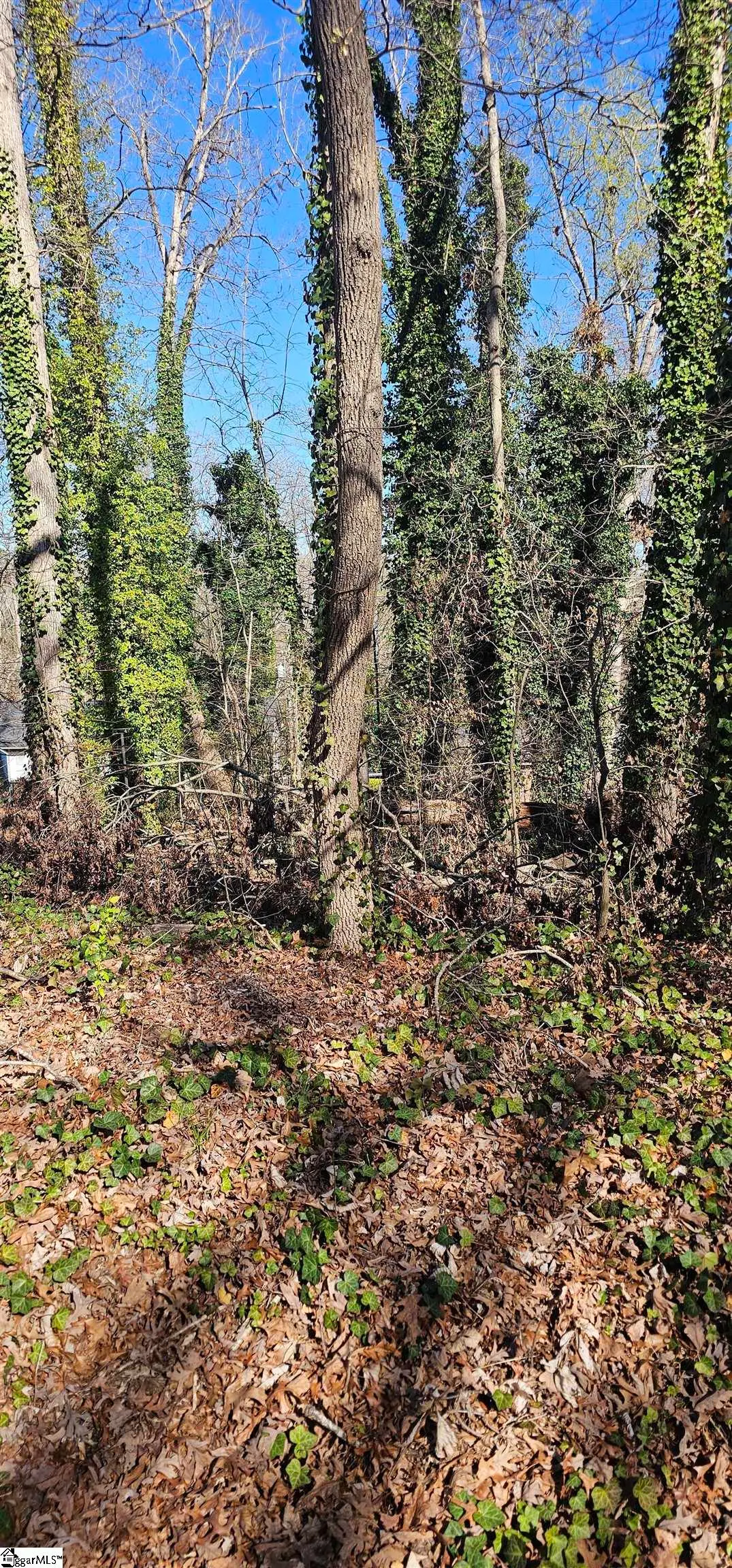 116 Cashmere Drive, Greenville, SC 29605 - #1