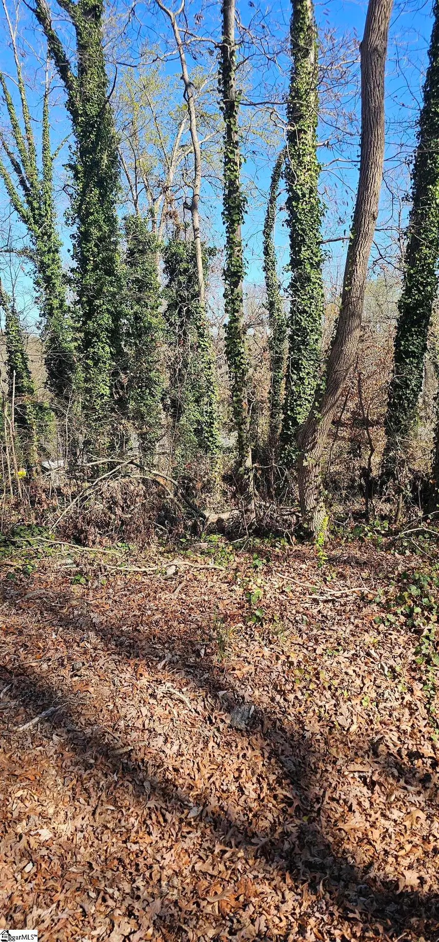 116 Cashmere Drive, Greenville, SC 29605 - #2