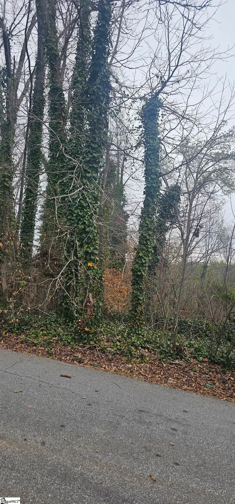 116 Cashmere Drive, Greenville, SC 29605 - #3