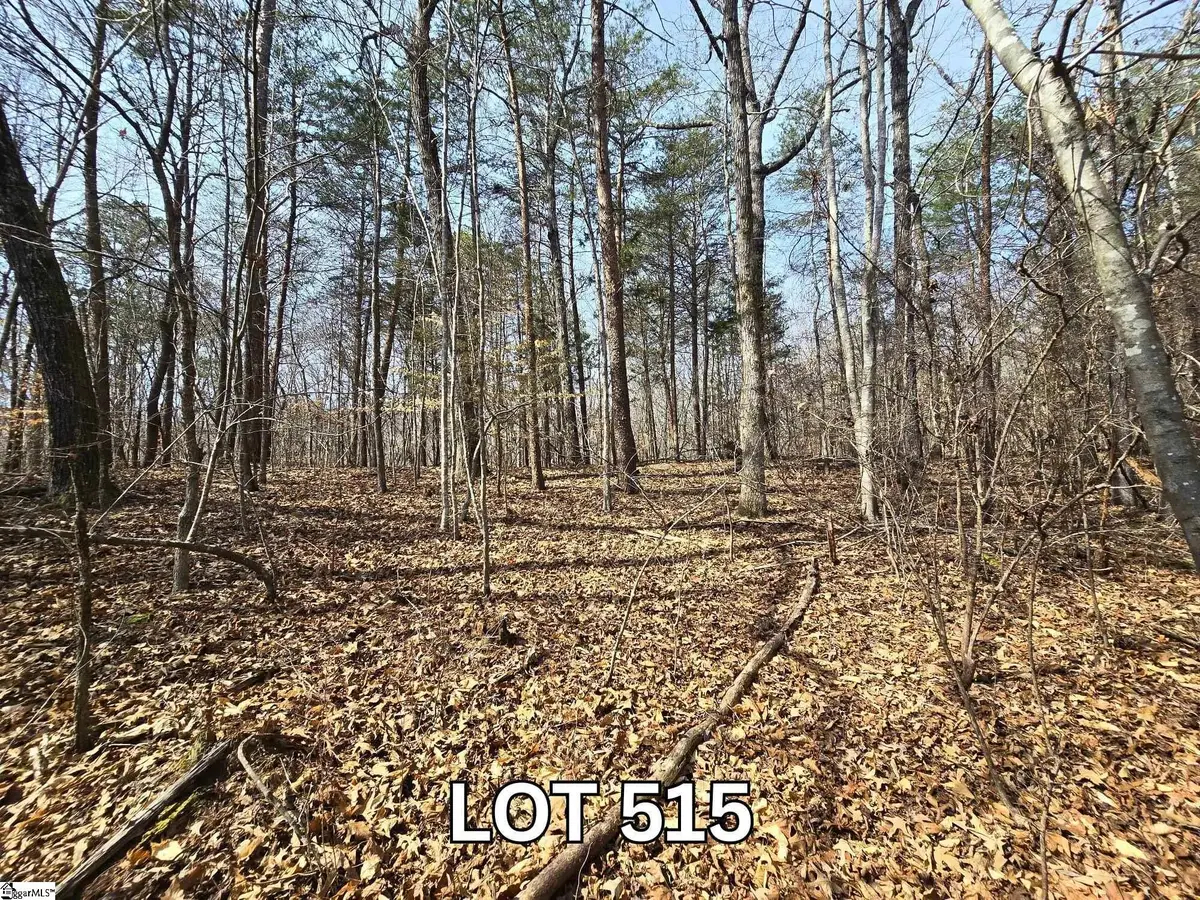 Lot 515 Point Road, Westminster, SC 29693 - #1