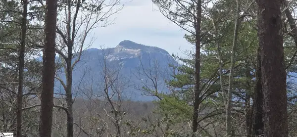 00 Geer Highway, Cleveland, SC 29635