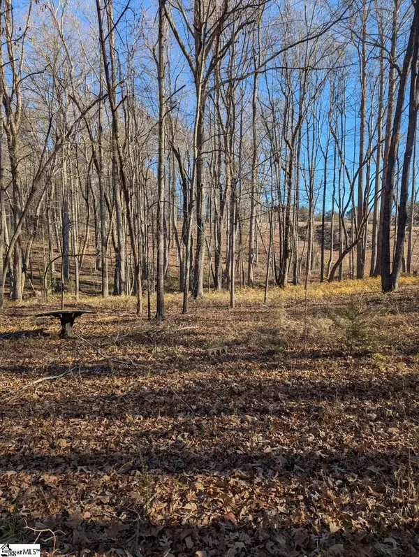 000 Pleasant Hill Court, Central, SC 29630-9016