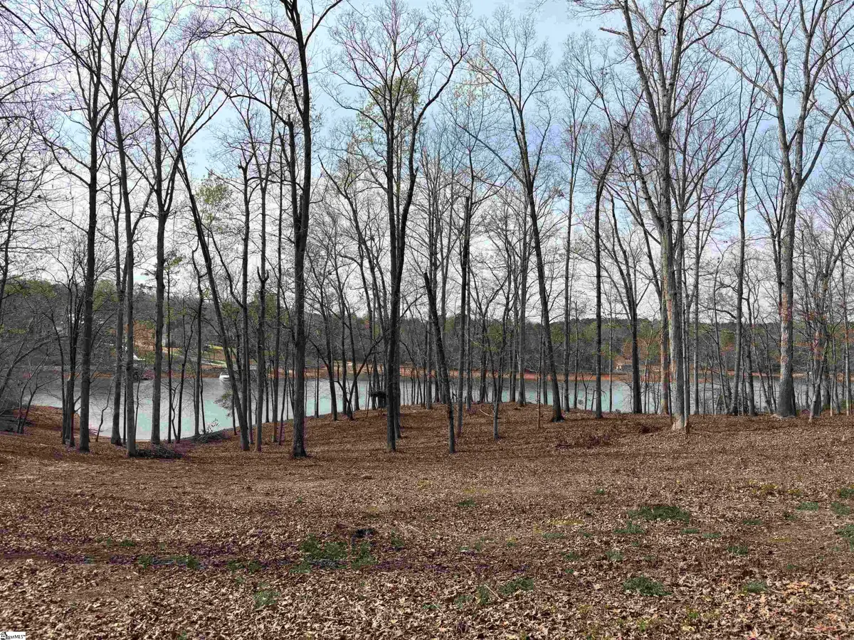 133 Falling Leaf Drive, Townville, SC 29689 - #1