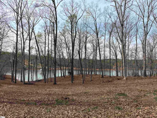 133 Falling Leaf Drive, Townville, SC 29689