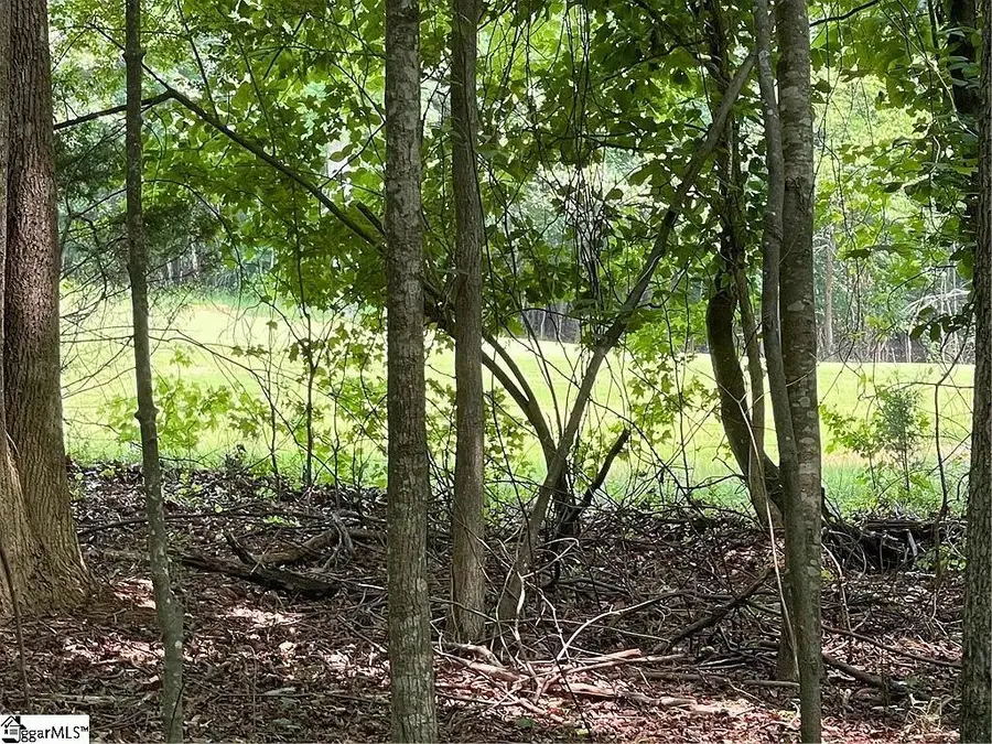 Lot 784 S Hogan Drive, Westminster, SC 29693 - #2