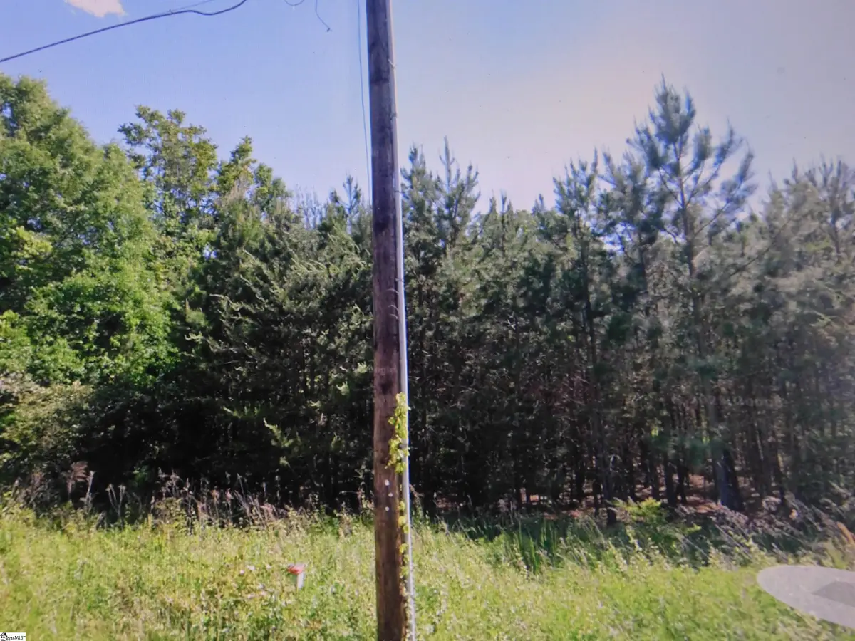 00 Gabriel Drive, Greenville, SC 29611 - #1