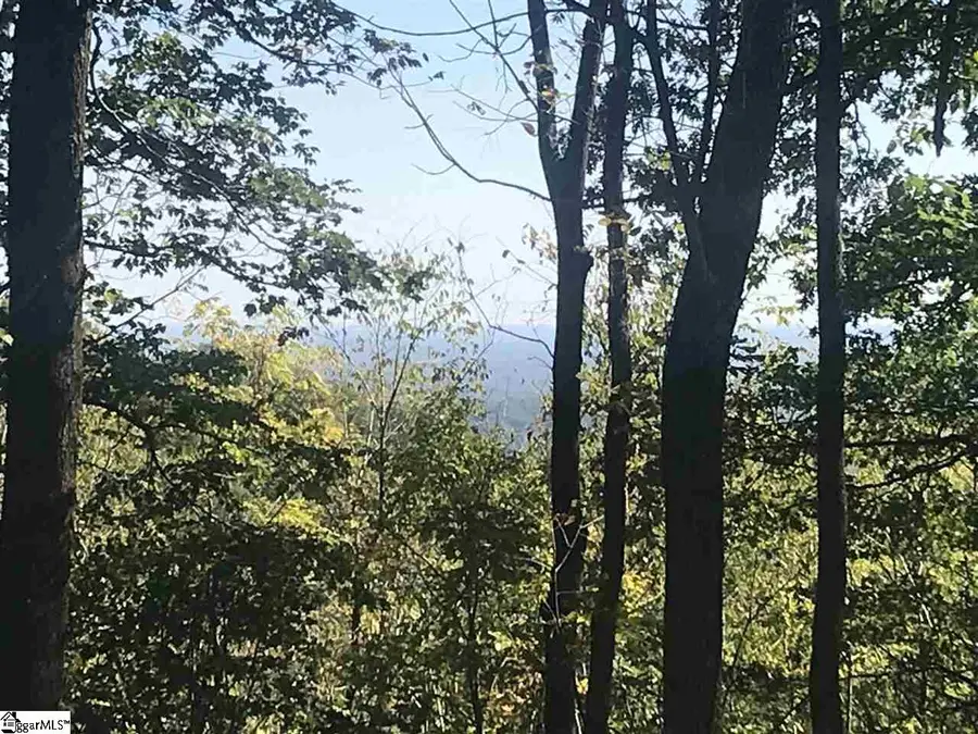 143 Raptor Way, Landrum, SC 29356 - #2