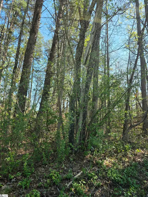 102 Pine Drive, Taylors, SC 29687