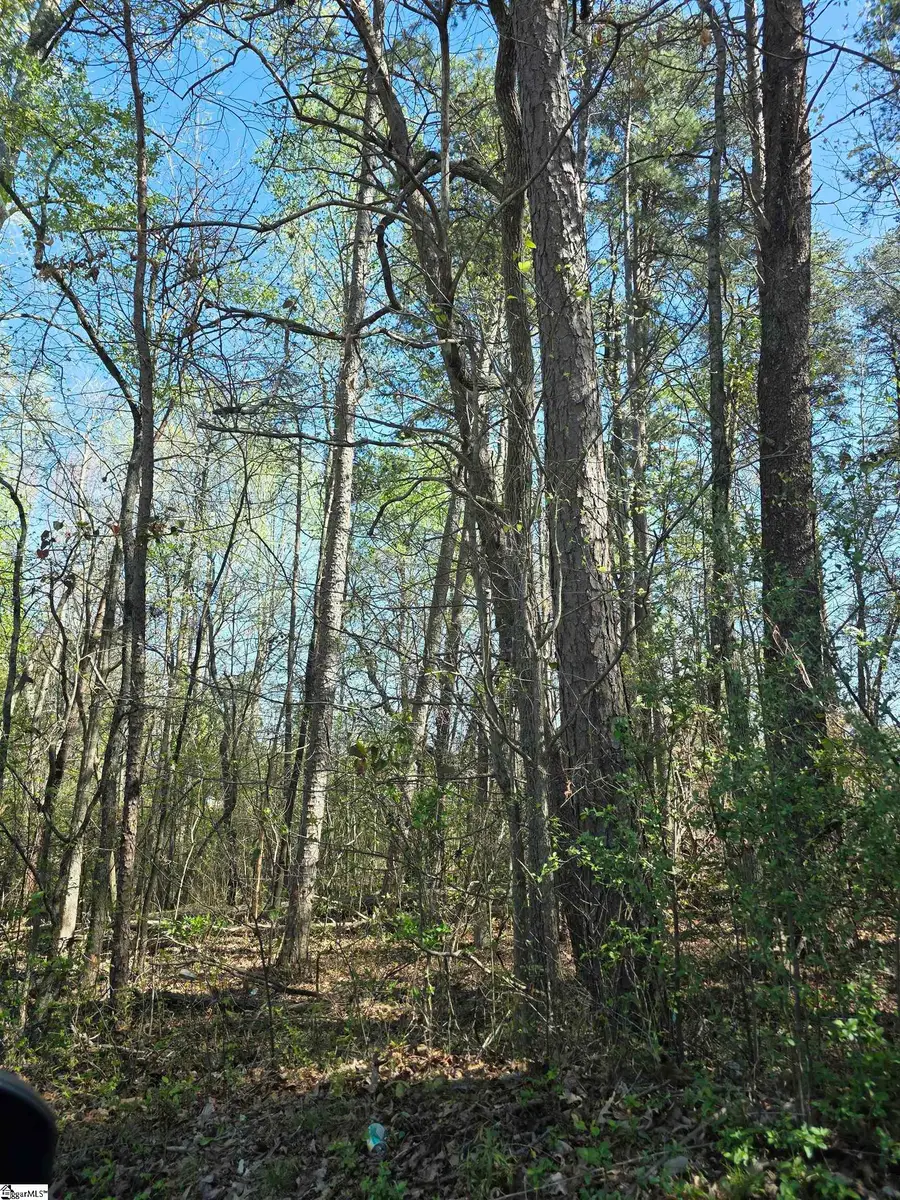 102 Pine Drive, Taylors, SC 29687 - #2