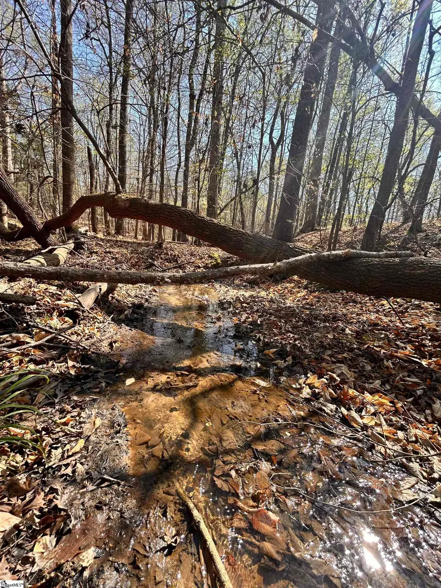 00 Owens Drive, Laurens, SC 29360 - #3