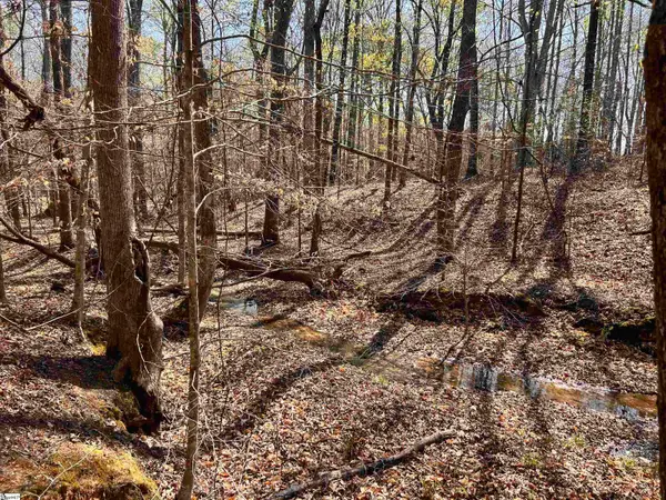 00 Bramlett Road, Laurens, SC 29360